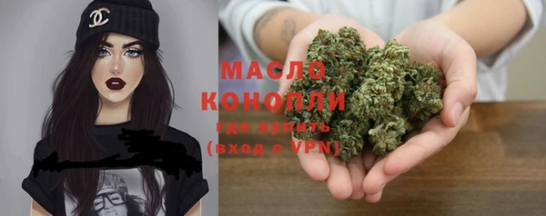 мет Инсар