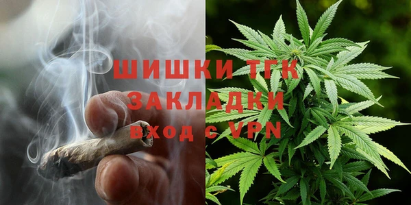 мет Инсар