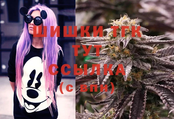 мет Инсар