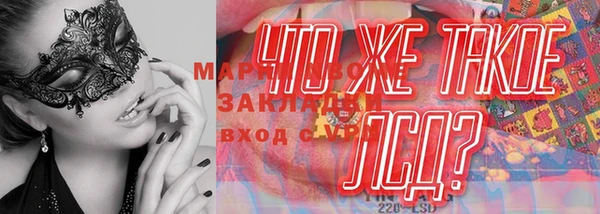 мет Инсар