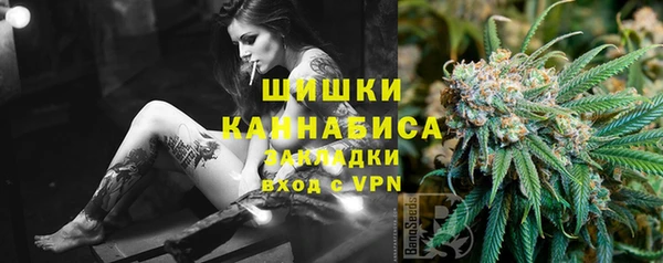 мет Инсар