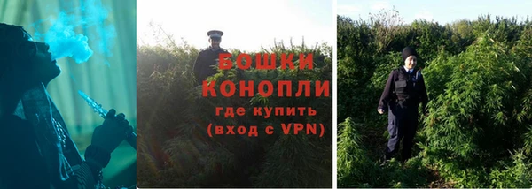 бутират Иннополис